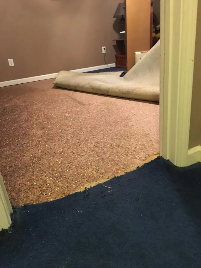 Carpet pad removal revealing water damage during Drying & Dehumidification in Cincinnati