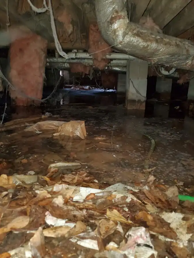 Crawl space flood assessment for Leak Detection & Repair in Cincinnati